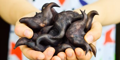 Hrst plná vodních ořechů