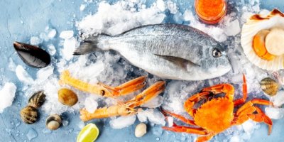 Mořské plody na ledu