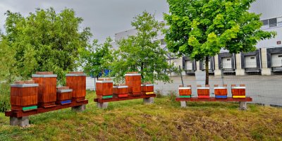 Různě velké včelí úly u skladů Penny