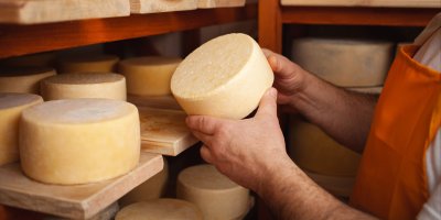 Člověk si prohlíží kulatý sýr ve zracím sklepě