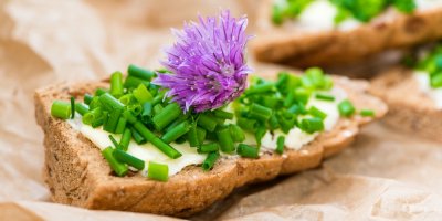 Chléb s tvarohem a pažitkou