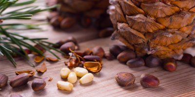 Piniové oříšky a šiška