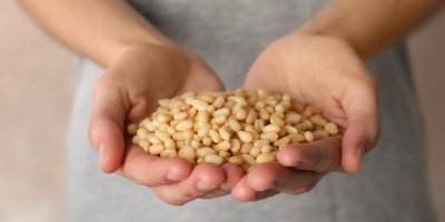 Člověk drží piniové oříšky v dlaních