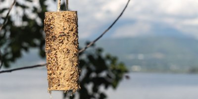 Krmítko pro ptáčky vyrobené z toaletní ruličky polepené semínky