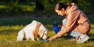 Žena přidržuje cestovní misku na vodu, ze které pije pes, v druhé ruce drží lahev, jsou v parku