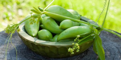 Plody ačokči v misce