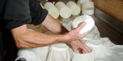 Muž drží sýr z oslího mléka