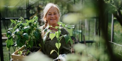 Žena ve skleníku přenáší bedýnky s rostlinami