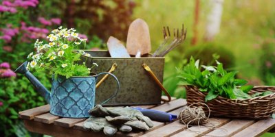 Letní zahradničení – pomůcky a heřmánek v konvičce