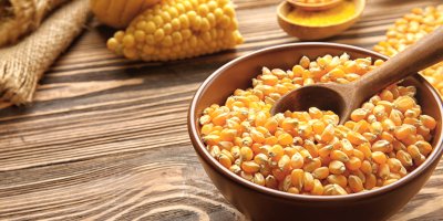 Kukuřičná zrnka v misce, nakrájené klasy v pozadí