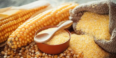 Kukuřičná krupice v misce a pytlíku, kukuřičné klasy a zrna