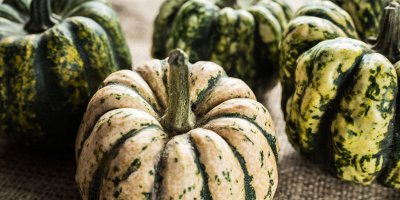 Čtyři dýně Sweet Dumpling