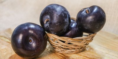 Čtyři tmavé blumy v košíčku