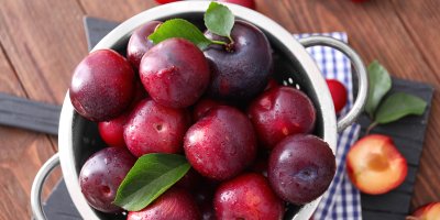 Červenofialové blumy v kastrolu