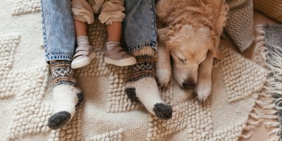 Nohy člověka v teplých ponožkách, nohy dítěte a pes na koberci