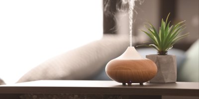 Oválný, dřevěný aromadifuzér na lince vedle květináče se sukulentem