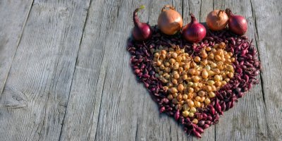 Různé druhy cibule poskládané do tvaru srdce