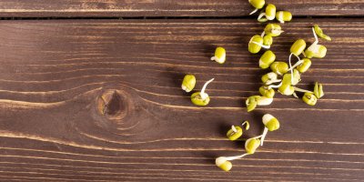 Několik naklíčených mungo fazolí na stole