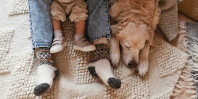 Dospělý, dítě a pes ležící na koberci