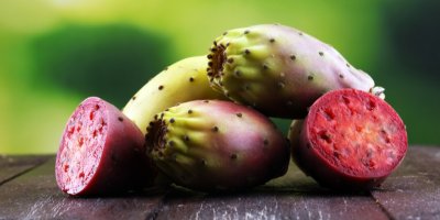 Plody opuncie na talíři na stole