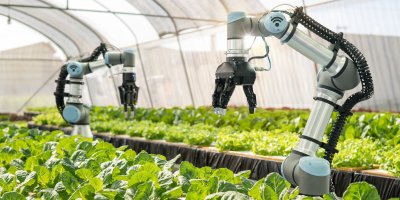 Robotické ruce mezi pěstovanou zeleninou na farmě