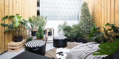 Zimní zahrada plná balkonových rostlin v truhlících