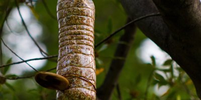 Plné krmítko z PET lahve