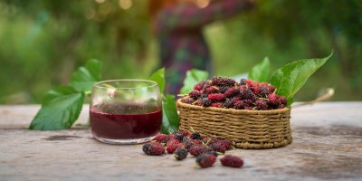 Plody morušovníku v proutěném košíku, vedle čerstvá šťáva z morušovníku