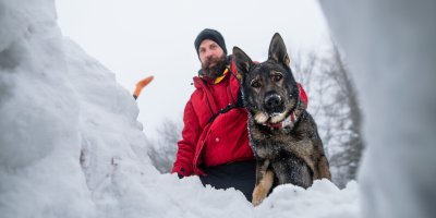 Horský záchranář se psem dívající se skrz prohlubeň ve sněhu