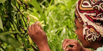 Žena u rostoucího květu s vanilkovým luskem