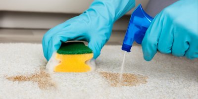 Člověk v gumových rukavicích odstraňuje skvrnu z koberce pomocí houbičky a spreje