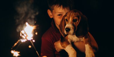 Chlapec držící psa a hořící prskavku