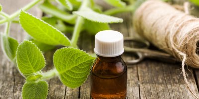 Lístky rýmovníku a lahvička s olejem z nich