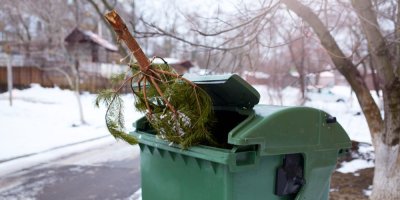 Vánoční stromek v kontejneru