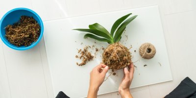 Žena vyrábí na tácku kokedamu s provázkem