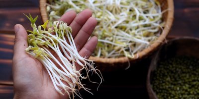 Miska a hrst plná klíčků