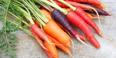 Různobarevné mrkve