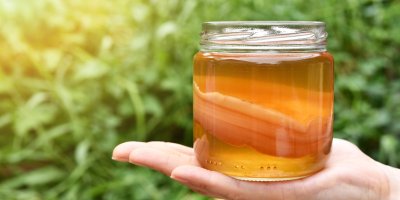 Sklenice s kombuchou