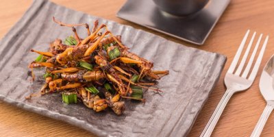 Upravený jedlý hmyz na talíři s příborem