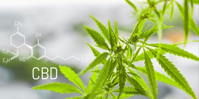 Listy konopí a chemický vzorec CBD