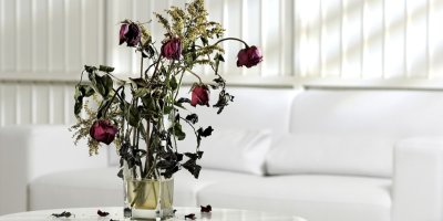 Zvadlé růže ve skleněné váze