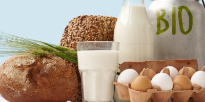 Bio mléko, vejce a chleba