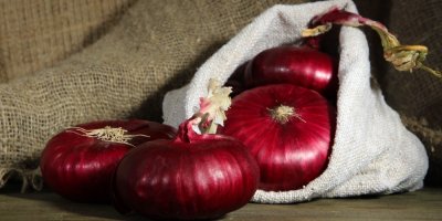 Cibule v pytli ve spíži