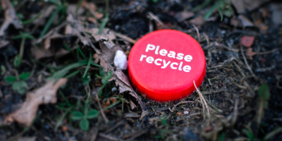 Červené víčko v lese