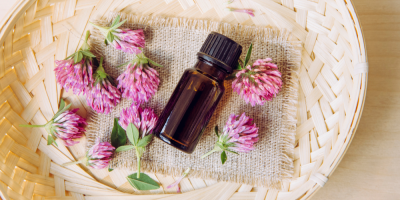 Jetel luční a tinktura na ošatce