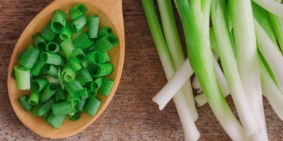 Jarní cibulka na stole