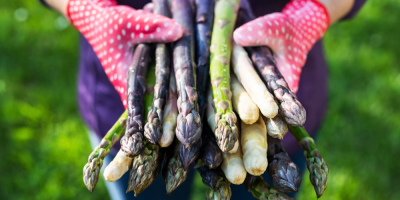 Žena drží bílý, zelený a fialový chřest