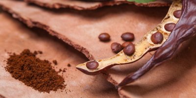 Karobová semena a prášek