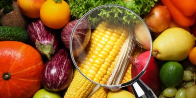 Lupa zaměřená na kukuřici