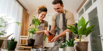 Muž se ženou přesazují květiny